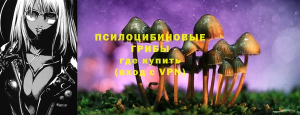 MDMA Premium VHQ Корсаков