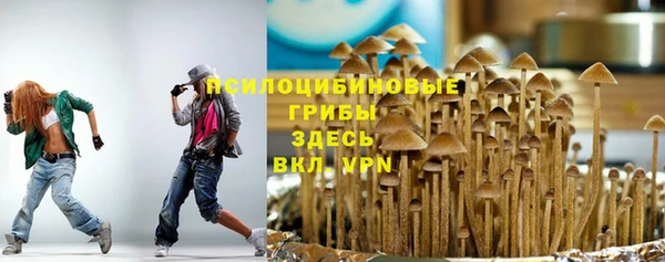 MDMA Premium VHQ Корсаков