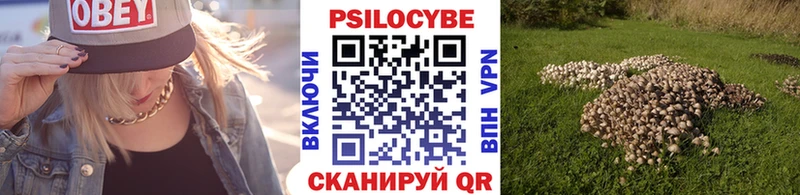 Купить  Спас-Деменск  Галлюциногенные грибы мицелий 